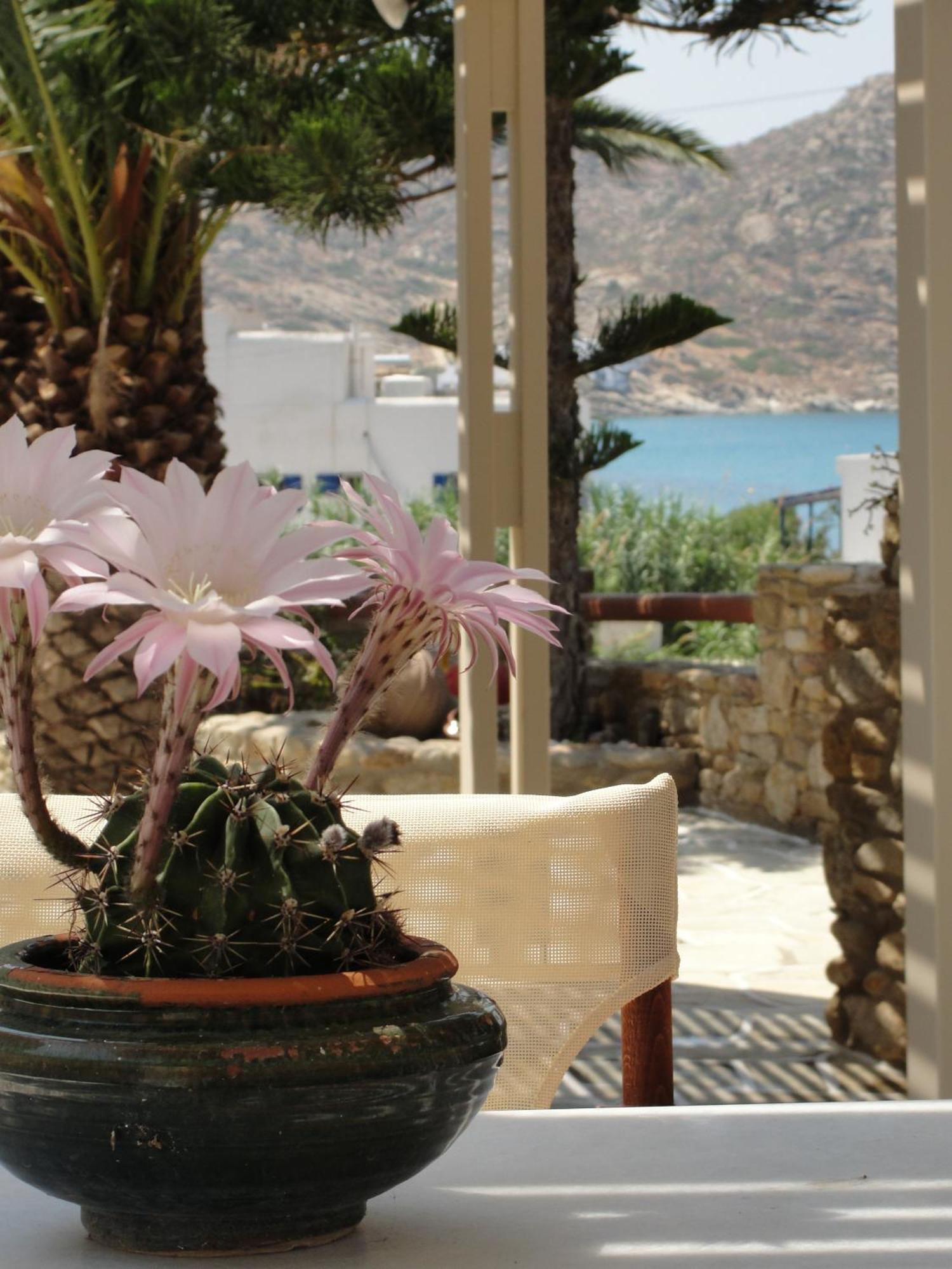 Galaxy Hotel Mylopotas Exterior photo